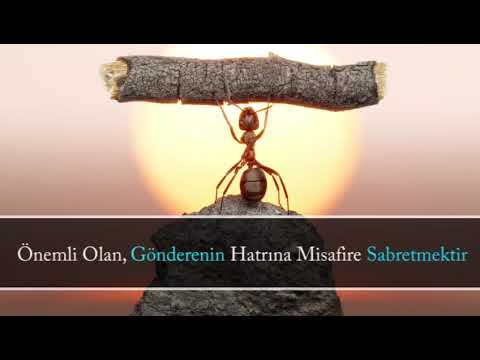 Ayetli Cuma Mesaji Youtube