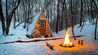 Winter Camp Out at our Tiny Cabin in Minnesota