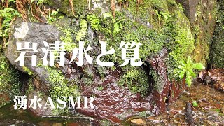 (水音紀行水の都熊本　阿蘇一宮手野の名水　湧水の水音が心地よい。