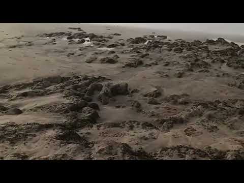 صوت أمواج البحر دقيقة من الهدوء و الاسترخاء