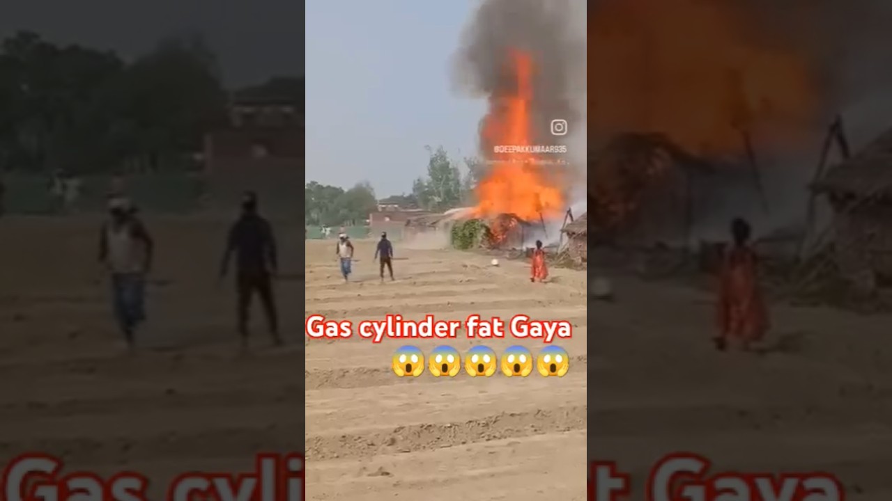 Monkey Business: The Rise of Viral Primate Shenanigans