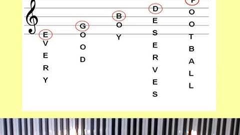 Beginners treble and bass clef for piano keyboard
