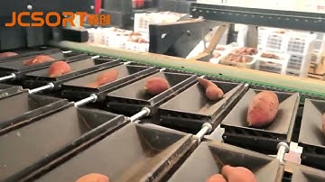 Sweet potato optical sorting line, sweet potato sorting machine, sweet potato color sorting machine