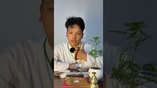 30多岁还没结婚，是不是晚婚命？ #新加坡风水 #感情 #婚姻 #婚姻與家庭 ￼