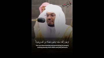 تلاوة 🎤 مرئية رائعة_ " محمد رسول اللّه "  التلاوة🎧التي أبدع فيها الشيخ ياسر الدوسري من سورة الفتح👍 .