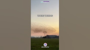 Unity Is Power 🔥❤️... #karmantaonline #karmantaofficial #karmanta #unity #victory #success #video