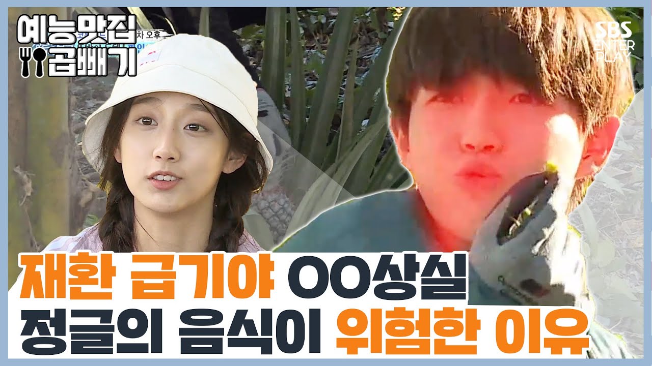💥정글에서 아무거나 먹지 마시오💥[예능맛집X곱빼기/정글의 법칙] Law Of The Jungle