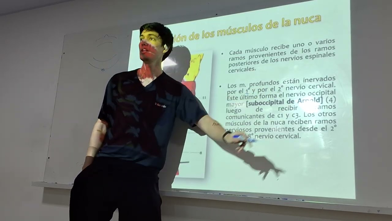 Aula de anatomia - 30/09/25