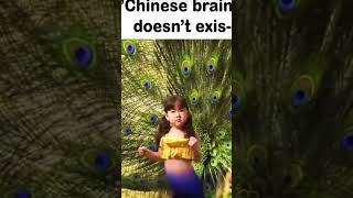 Chinese Brainrot