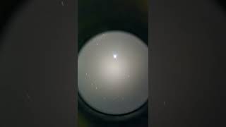 I Pointed My Telescope At Spica The Star
