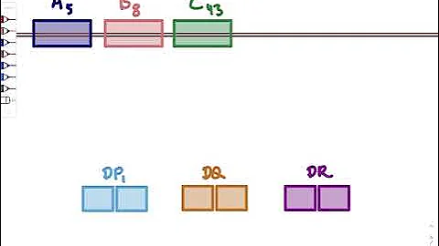 Brandl's Basics: HLA genetics