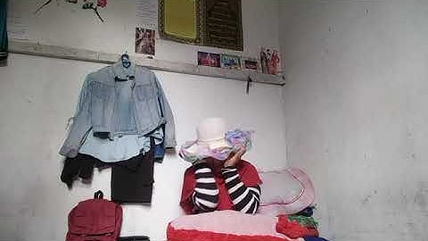 Zapin Usik Mengusik