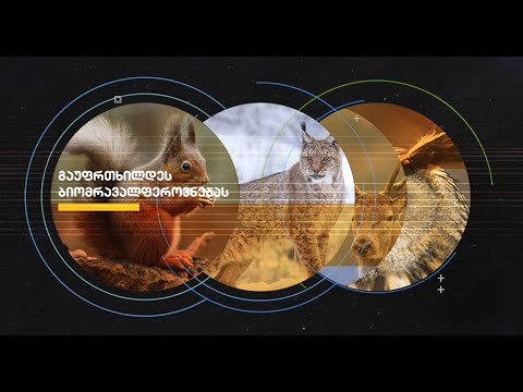 კლიმატის ცვლილების პროგნოზი საქართველოსთვის