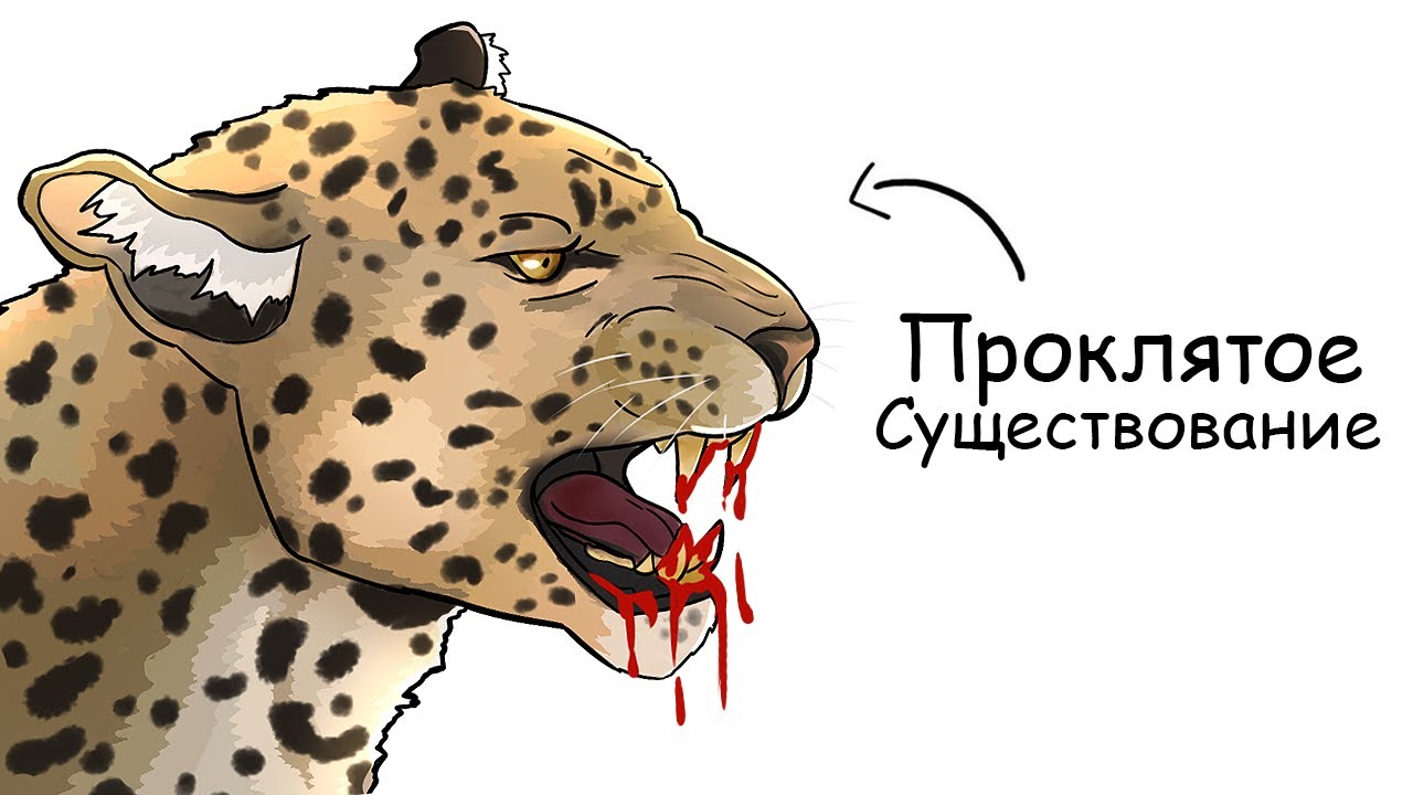 Ты – Леопард (И ЭТО ВСЯ ТВОЯ ЖИЗНЬ)