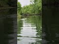 Caught On Camera: 📸 Baby Ducks! 🦆 #Kayaking #River #Nature #Ducks #WaterWednesday