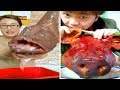 EATING SHOW COMPILATION-CHINESE FOOD-MUKBANG Greasy Chinese octopus and other interesting food #16