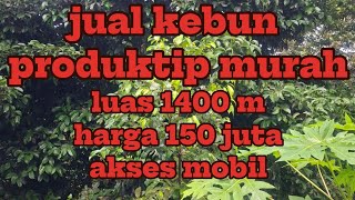 ##jualtanahkebun. Wa 085770744167