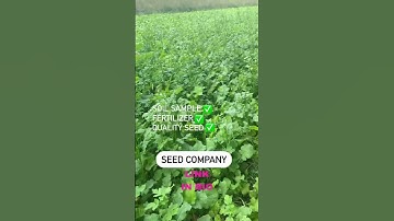 “DON’T MAKE THIS MISTAKE” Seed for Deer Food Plots  #deercamera #deerfoodplots