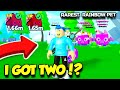 I FINALLY GOT THE RAREST RAINBOW PET In Pet Simulator X And Then THIS HAPPENED!! (Roblox)