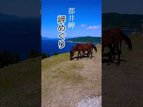 【都井岬】(再編集)宮崎県都井岬ツーリング ♯岬めぐり