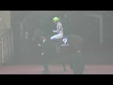 2021 武豊ついに勝った!! 朝日杯FS パドック 現地映像 ドウデュース