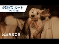 映画「スーパーガール」45秒スポット（クリプト編）