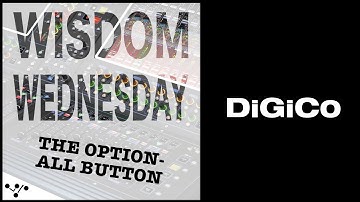 Wisdom Wednesday  The Option All Button
