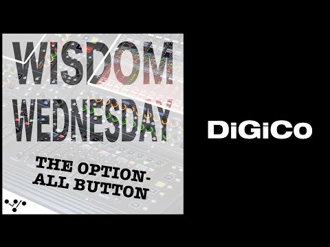 Wisdom Wednesday  The Option All Button