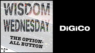 Wisdom Wednesday  The Option All Button