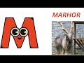 Abc song | phonics song| A For Airplane -ABC Alphabet Song with Sounds for children. Epi68
