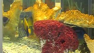C:\Documents and Settings\MVI_1813.AVI