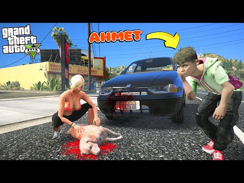 AHMET ARABAYLA SOKAK KÖPEĞİNE ÇARPIYOR! - GTA 5 AHMET'İN HAYATI