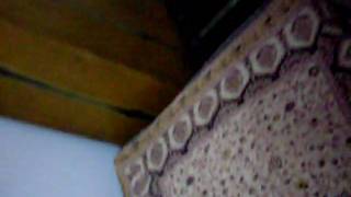 SDC10170.AVI