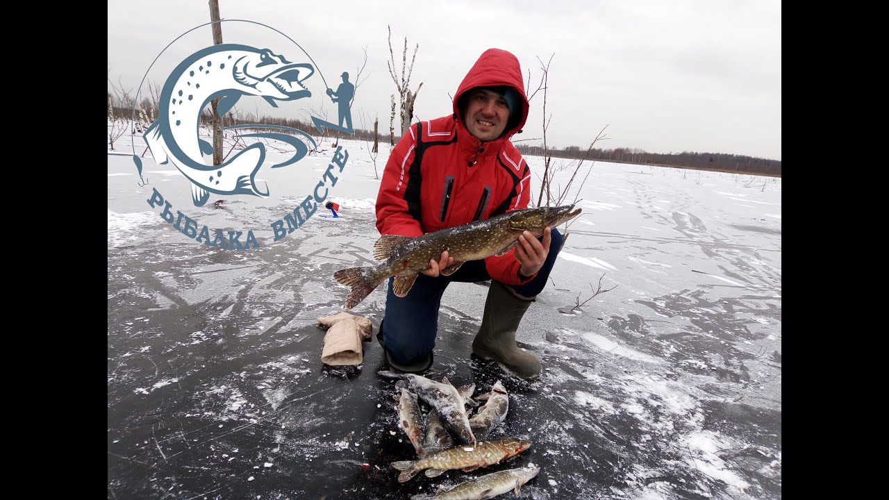 Рыбалка на озере Варегово на жерлицы - YouTube