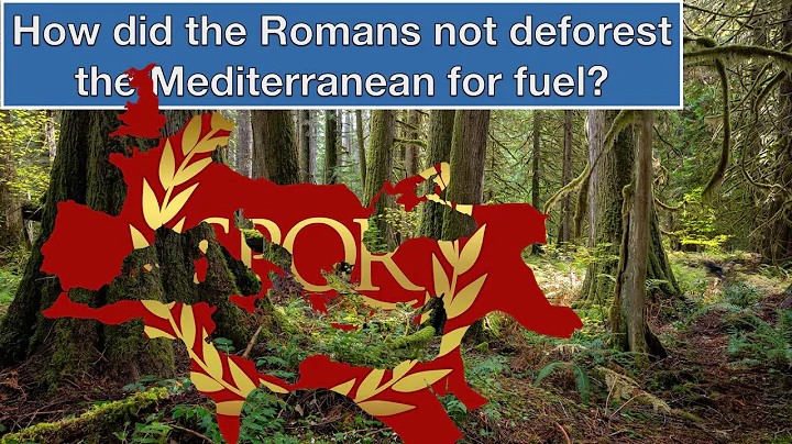 How Did Romans Manage to Not Cut Down All the Trees For Fuel?