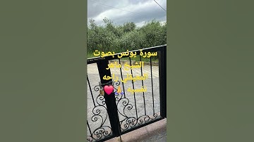 سورة يونس بصوت الشيخ ماهر المعيقلي راحه نفسيه 🙏❤️  #المصحف #تيك_توك