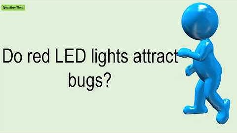 Do Red LED Lights Attract Bugs?