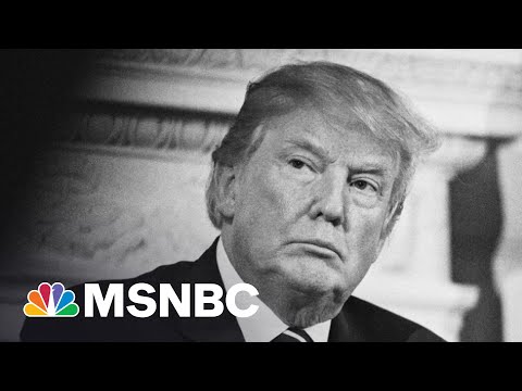 Why Trump Should