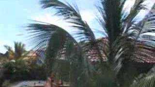 The Gardens Of Lomas Mironas