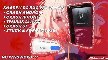[SHARE] NEW SC BUG BOT WA GANAS | SCRIPT ATHENA V4 FREE | FREE SC BUG WA GANAS