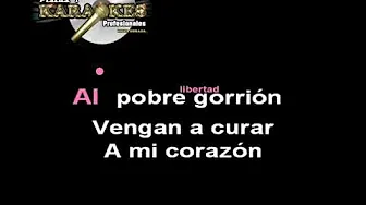 Manuella Torres EL GORRION Y YO karaoke Manuella Torres EL GORRION Y YO karaoke