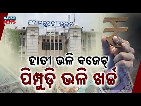 ହାତୀ ଭଳି ବଜେଟ୍‌, ପିମ୍ପୁଡ଼ି ଭଳି ଖର୍ଚ୍ଚ, Big Budget Tiny Spending: Odisha Departments Fail To Use Funds