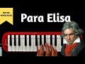 Tutorial // Cómo tocar "Para Elisa" de Beethoven en tu Melódica