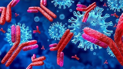 Immune system | Antigen-Antibody reaction | (3D animation)