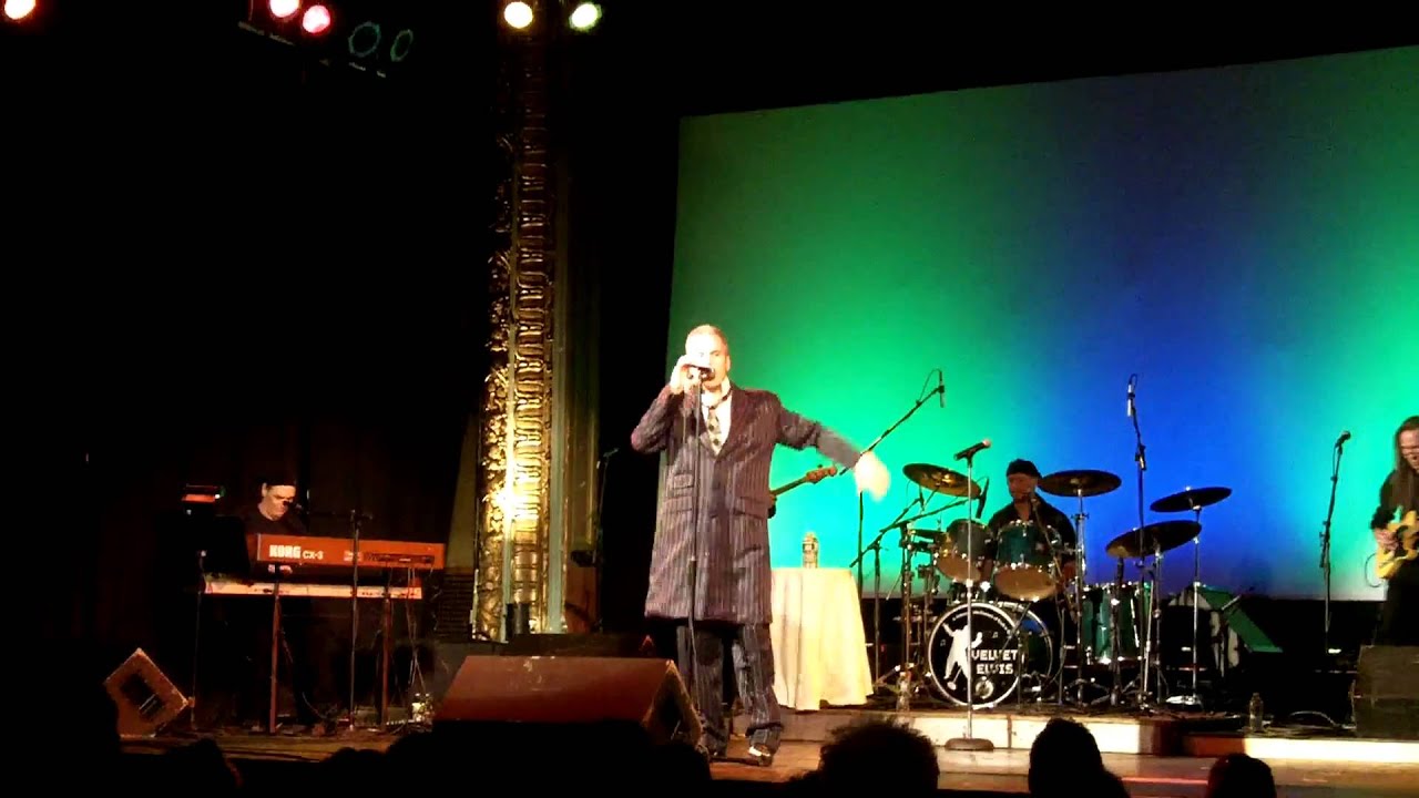 The Velvet Elvis Band & Leo Days "Great Balls Of Fire" "That's Alright Mama!" "Heartbreak