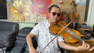 Anne Murray  You Needed Me  70s Violin Viola Cover