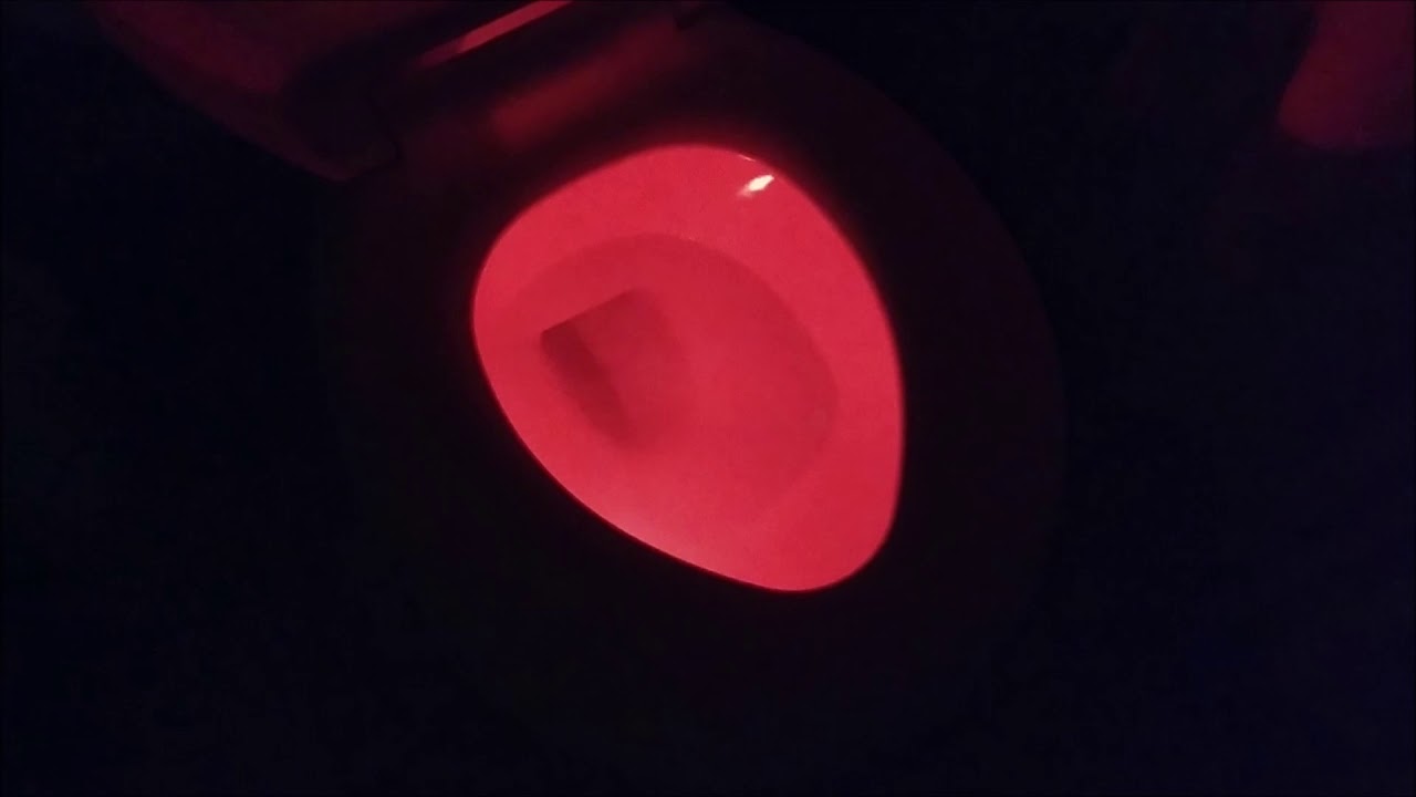 Easy Home Motion Activated LED Toilet Bowl Night Light YouTube