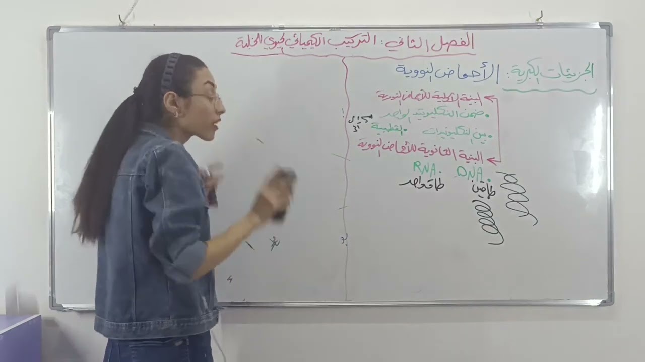 البنية الأولية والثانوية للأحماض النووية