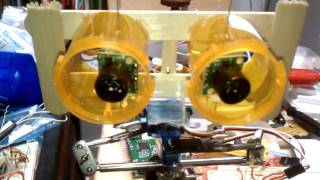 LMRbot eye thing test
