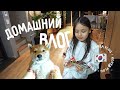 Домашний влог с Такояки и Геликом ^^  Карри райсу по корейски /  KOREA VLOG